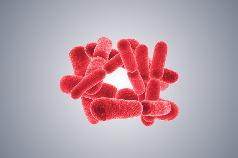 What is Spectral Sensitivity? Explaining Differences in Microbe Sensitivity to UV Wavelengths